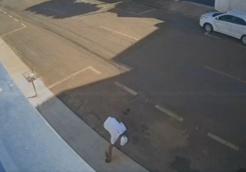 Vândalo é flagrado por câmera de segurança arrancando muda de árvore e jogando-a no lixo
