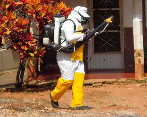 Patos de Minas e região têm 147 casos de dengue e 3 de Chikungunya em 2026