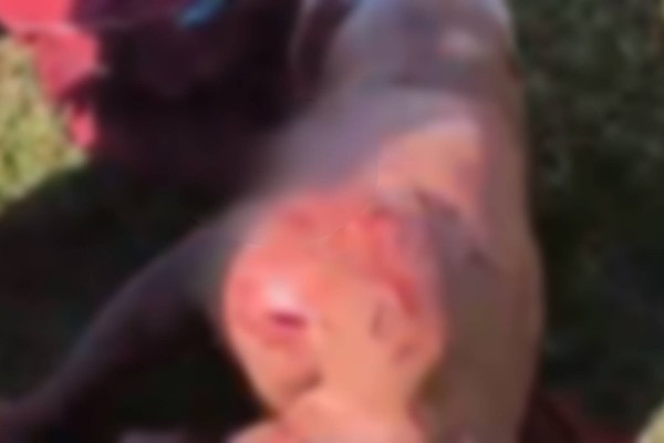 Idoso é brutalmente esfaqueado no campo do bairro Vila Rosa; crime teria sido por vingança