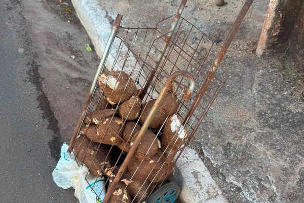 Suspeito de arremessar pedras em carros na av. Marabá é preso por furtar mandiocas em lote vago