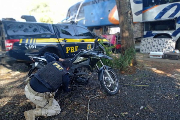 PRF com grupo de cães encontra moto furtada há 7 dias no bagageiro de ônibus em Patos de Minas