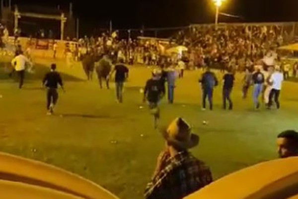 Vídeos mostram touros de rodeio avançando contra público de festa após escaparem em Arapuá