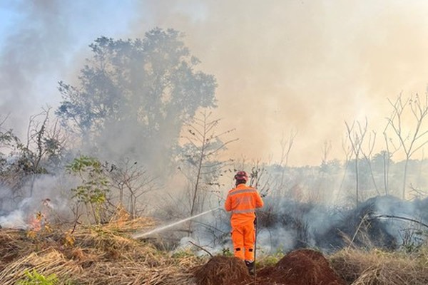 Suposto incêndio criminoso destrói 1500 metros quadrados da Mata do Catingueiro