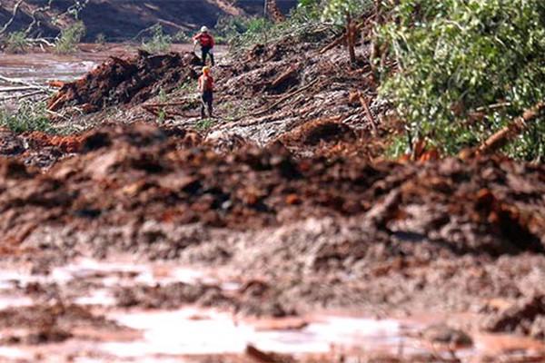 Tragédia em Brumadinho atinge agropecuários de vários municípios da região