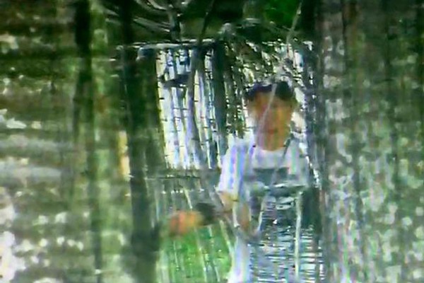 Homem é preso após furtar fiação das luzes do Renascer Natalino, na Av. Getúlio Vargas