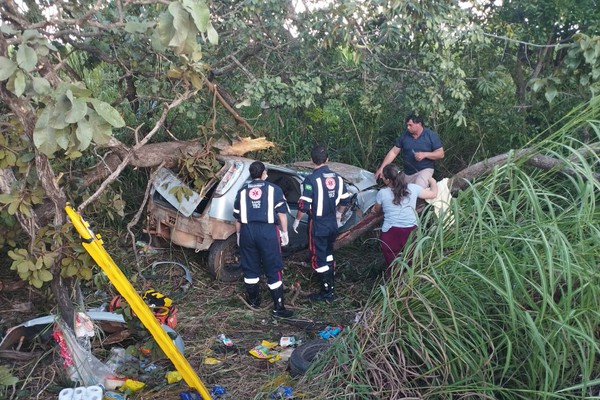Motorista de 33 anos morre após carro sair da pista e bater em árvore na BR-365