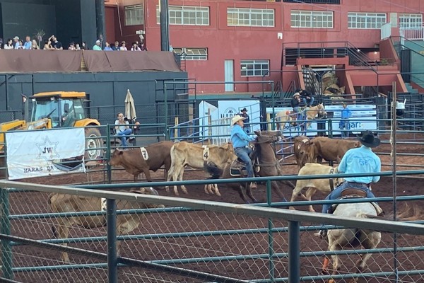 Competidores quebram o recorde mundial 2x em campeonato de “Ranch Sorting” disputado em Patos de Minas