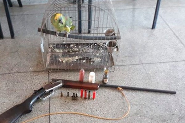 Polícia Militar de Meio Ambiente apreende arma de fogo e papagaio em Rio Paranaíba
