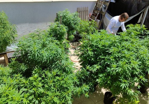Feira em Fortaleza defende políticas sobre drogas com justiça social