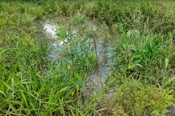 Moradores denunciam vazamento de esgoto que chega a formar lagoas no Jardim Panorâmico