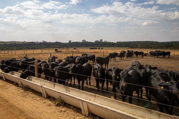 Atividade econômica brasileira cresce 2,5% em 2025