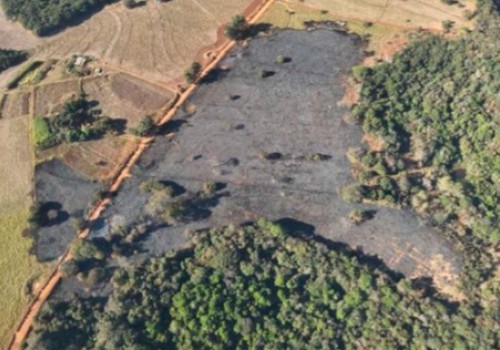 Idosa que causou queimada de 8 hectares ao apagar fornalha vai responder na justiça