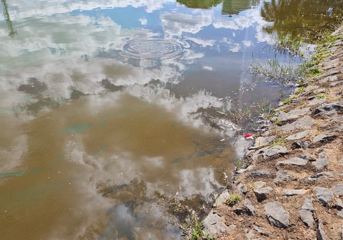Lagoa Grande amanhece coberta por mancha semelhante a óleo e preocupa frequentadores