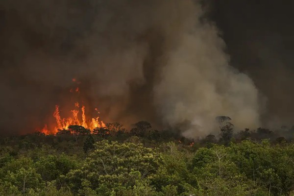 Incêndios podem ter afetado mais de 11 milhões de pessoas no Brasil