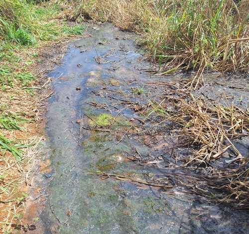 PC indicia Copasa por crime ambiental após vazamento de esgoto em área de preservação em Araxá