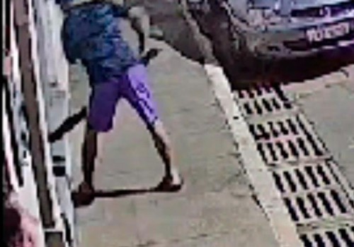 Homem é indiciado por maus-tratos após agredir cachorro com pedaço de madeira em Rio Paranaíba