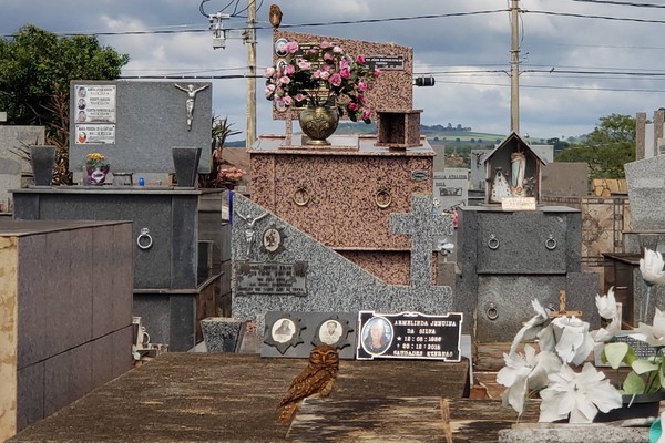 Sob olhares atentos de corujas, patenses preparam cemitério para a celebração de Finados