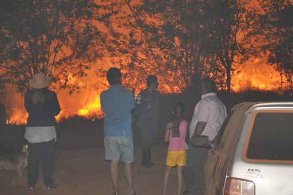Incêndio em fazenda perto de Patos de Minas queima vários hectares e assusta moradores