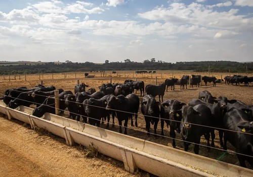Atividade econômica brasileira cresce 2,5% em 2025