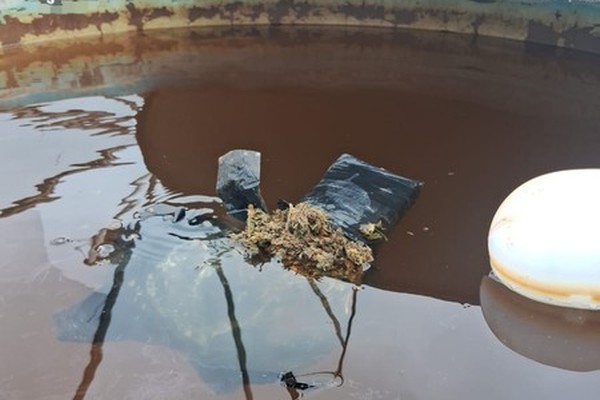 Água esverdeada saindo da torneira chama atenção de morador e PM encontra maconha em caixa d’água