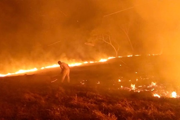 Incêndios florestais se multiplicam e Corpo de Bombeiros alerta a população