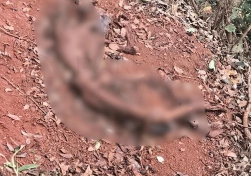 Ossada humana é encontrada às margens da BR-354, próximo ao distrito de Chaves, em Rio Paranaíba