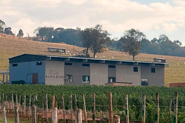 Vinícola Alma Rios inaugura indústria e passa a produzir seus premiados vinhos em Patos de Minas