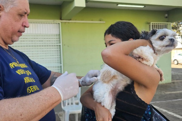 Patos de Minas inicia a Campanha de Vacinação Antirrábica; veja os locais de imunização deste sábado