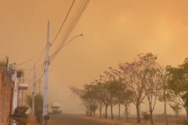 Incêndio atinge vegetação e moradores mostram fumaça densa encobrindo o bairro Alto da Serra, em Patos de Minas