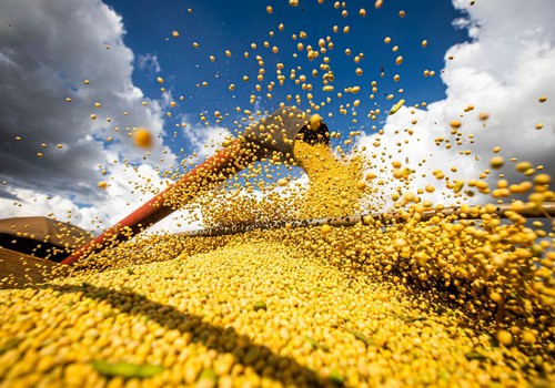 Produção agrícola brasileira superou R$ 927 bilhões em 2025
