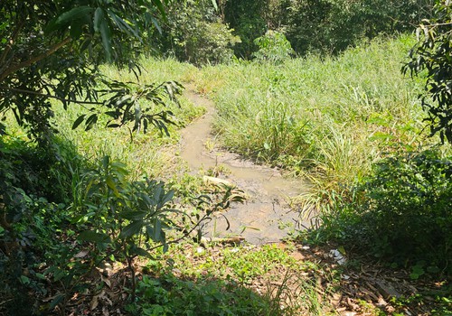 Esgoto corre a céu aberto causando poluição no bairro Copacabana até desaguar no Rio Paranaíba