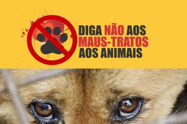 Maus-tratos aos Animais é Crime!!!