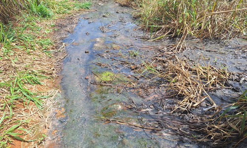 PC indicia Copasa por crime ambiental após vazamento de esgoto em área de preservação em Araxá