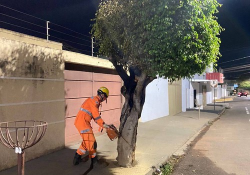 Bombeiros precisam fazer corte de árvore que ficou comprometida ao aparecer novamente em chamas