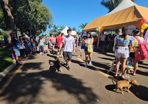 Cãominhada em prol da Esperança Azul acontece no domingo em Patos de Minas; leve sua família