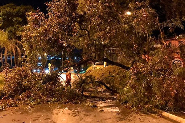 Bombeiros, Cemig e Prefeitura trabalham para reparar estragos do temporal em Patos de Minas