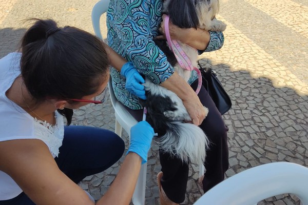 Vacinação antirrábica já imunizou mais de 4 mil animais em Patos de Minas; saiba como proteger o seu pet