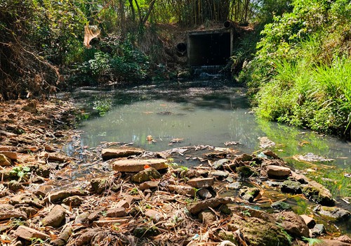 Após reclamação de moradores, Patos Hoje descobre córrego tomado por esgoto em Patos de Minas
