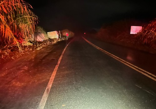 Caminhoneiro perde controle em curva, sai da pista e tomba veículo carregado com cenouras, na BR354