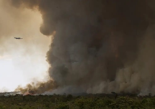 Fogo avança e queima 700 hectares do Parque Nacional de Brasília