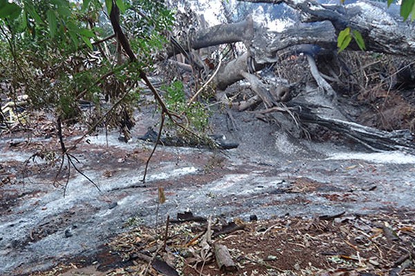 Área de Preservação Ambiental “Biquinha do Caramuru” volta a ser alvo de incêndio criminoso