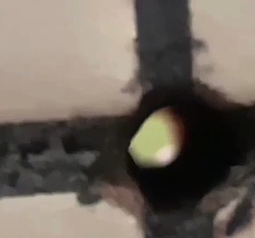 Idoso de 66 anos é indiciado por espionar adolescentes no banheiro por meio de buraco oculto na parede