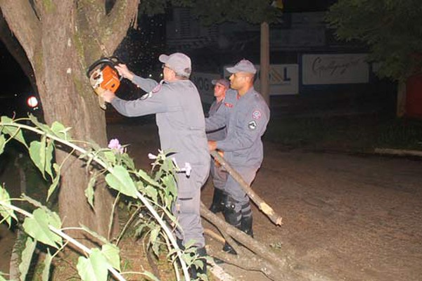 Árvore desaba em local mal iluminado da avenida Paranaíba e deixa ciclista ferido