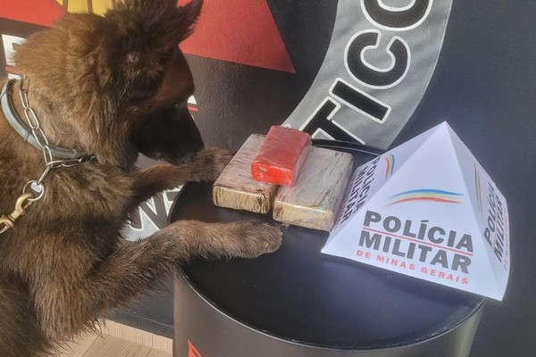Cão farejador da PM encontra local usado para esconder drogas às margens do Rio Paranaíba