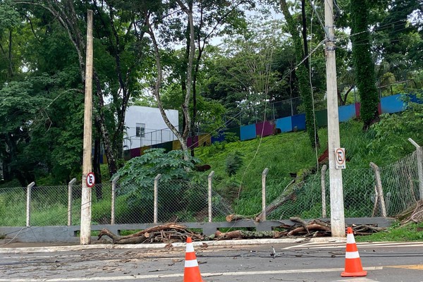 Temporal derruba árvore em cima de fiação e deixa cenário de destruição em frente ao Mocambo