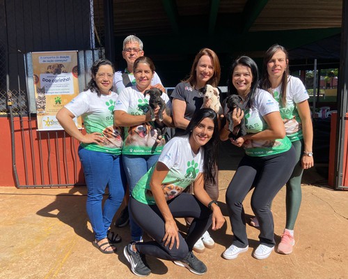 Mutirão de castração gratuito atende centenas de animais em Patos de Minas