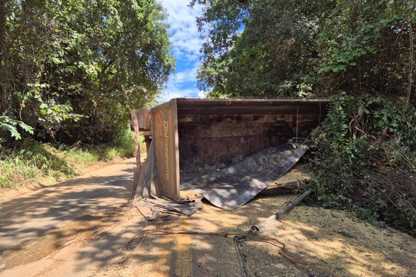 Carreta tomba após passar por buracos e espalha carga de soja na BR-352, em Abadia dos Dourados