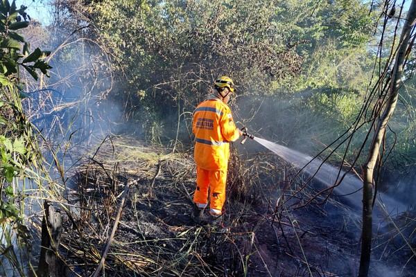 Incêndio criminoso consome vegetação na Mata do Catingueiro e mobiliza o Corpo de Bombeiros