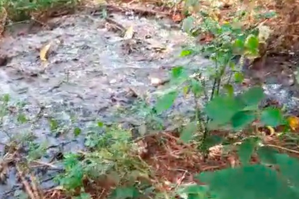 Denúncia mostra vazamento de esgoto no Córrego do Limoeiro em Patos de Minas