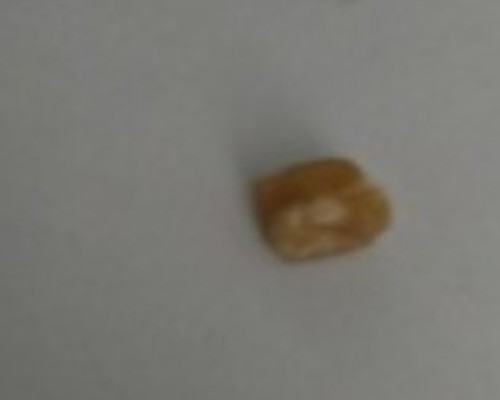 Homem é encontrado em hotel fumando crack após furto de celular no interior de carro